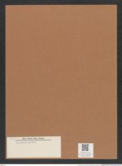 Podosira sp. (de-Toni-Nr.: Genus 217) Zeichnungen Sammlung Grunow Mappe 05259 (Herbarium_W_Grunow_drawings_Folder_05259)